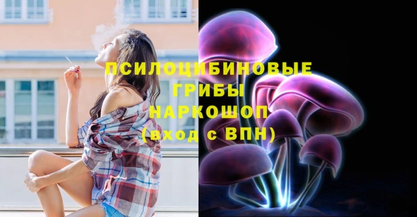 прущая мука Медвежьегорск